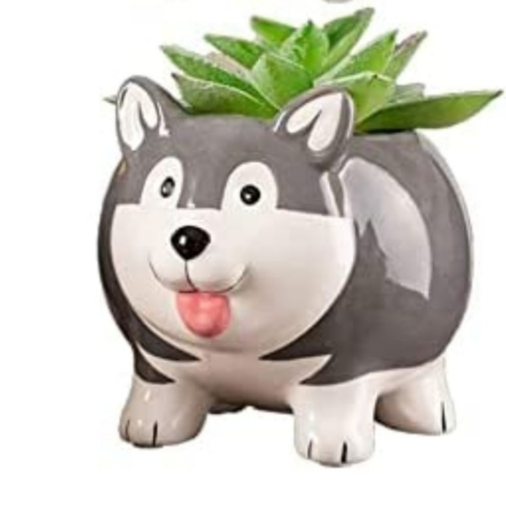 Cute Husky Succulent Cactus Plant Planter Pot Animal Flower Dog Doggie